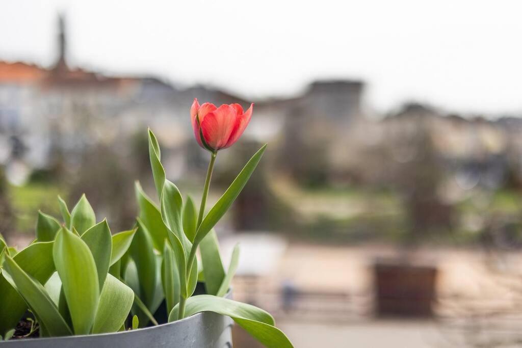 Le Bien-Etre Au Coeur De La Ville Confort & Vue เปรีเกอ ภายนอก รูปภาพ